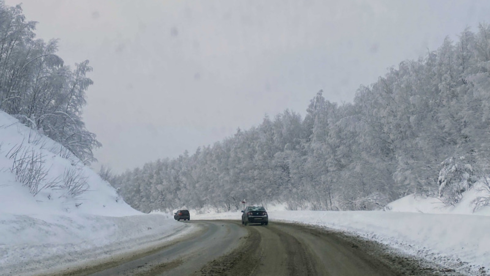 Елены Колоколовой.