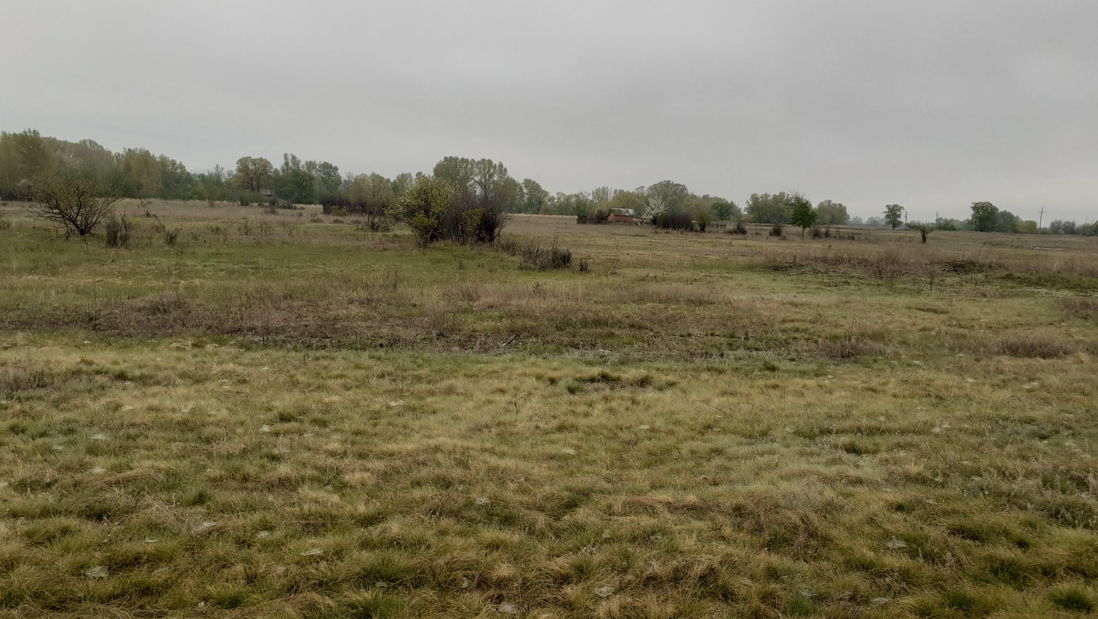 Владимира Шакиева.