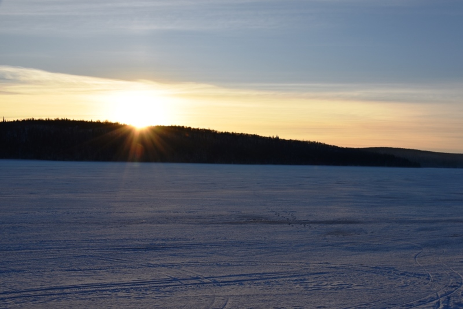 Фото автора.