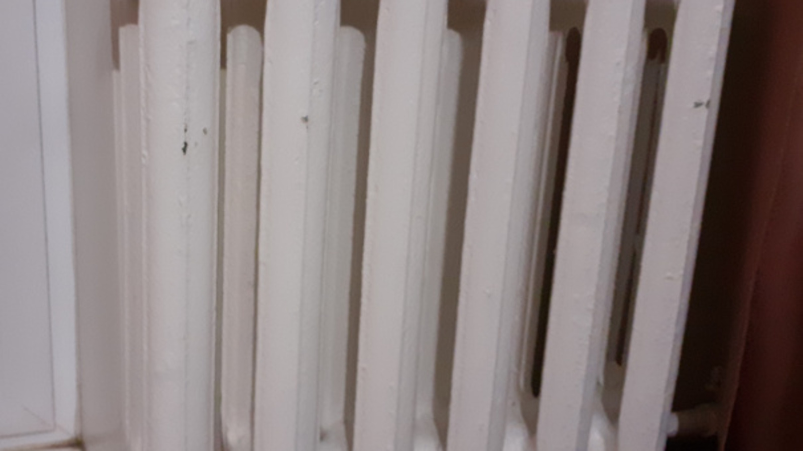 Фото Владимира Шакиева.