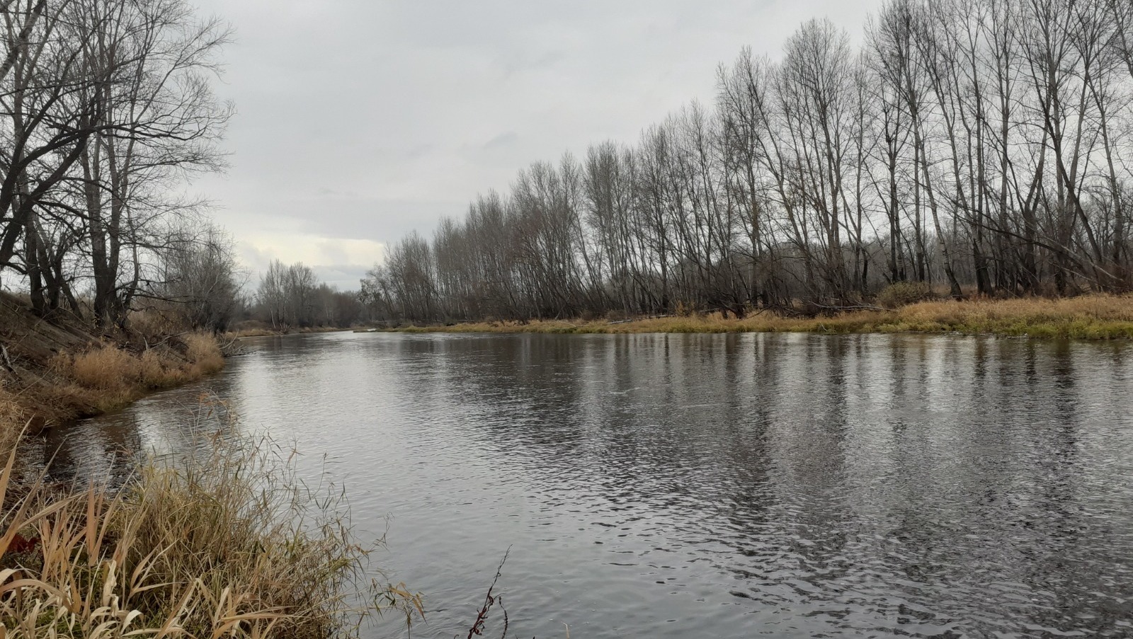 Владимира Шакиева.