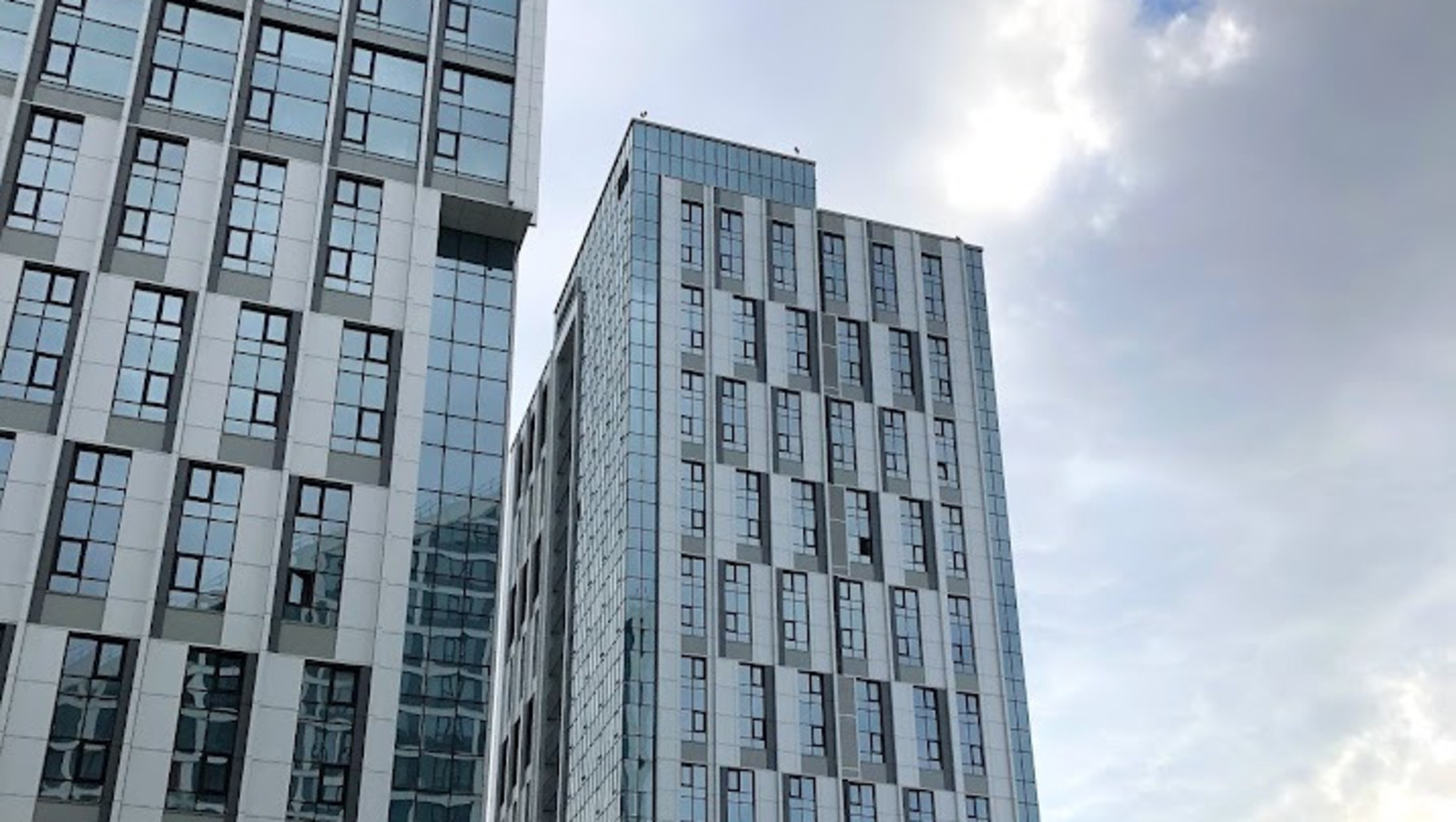 Елены Колоколовой.