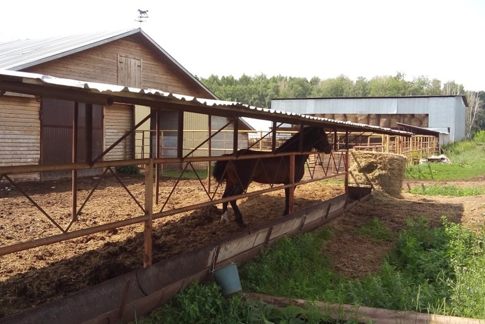 Фото автора.