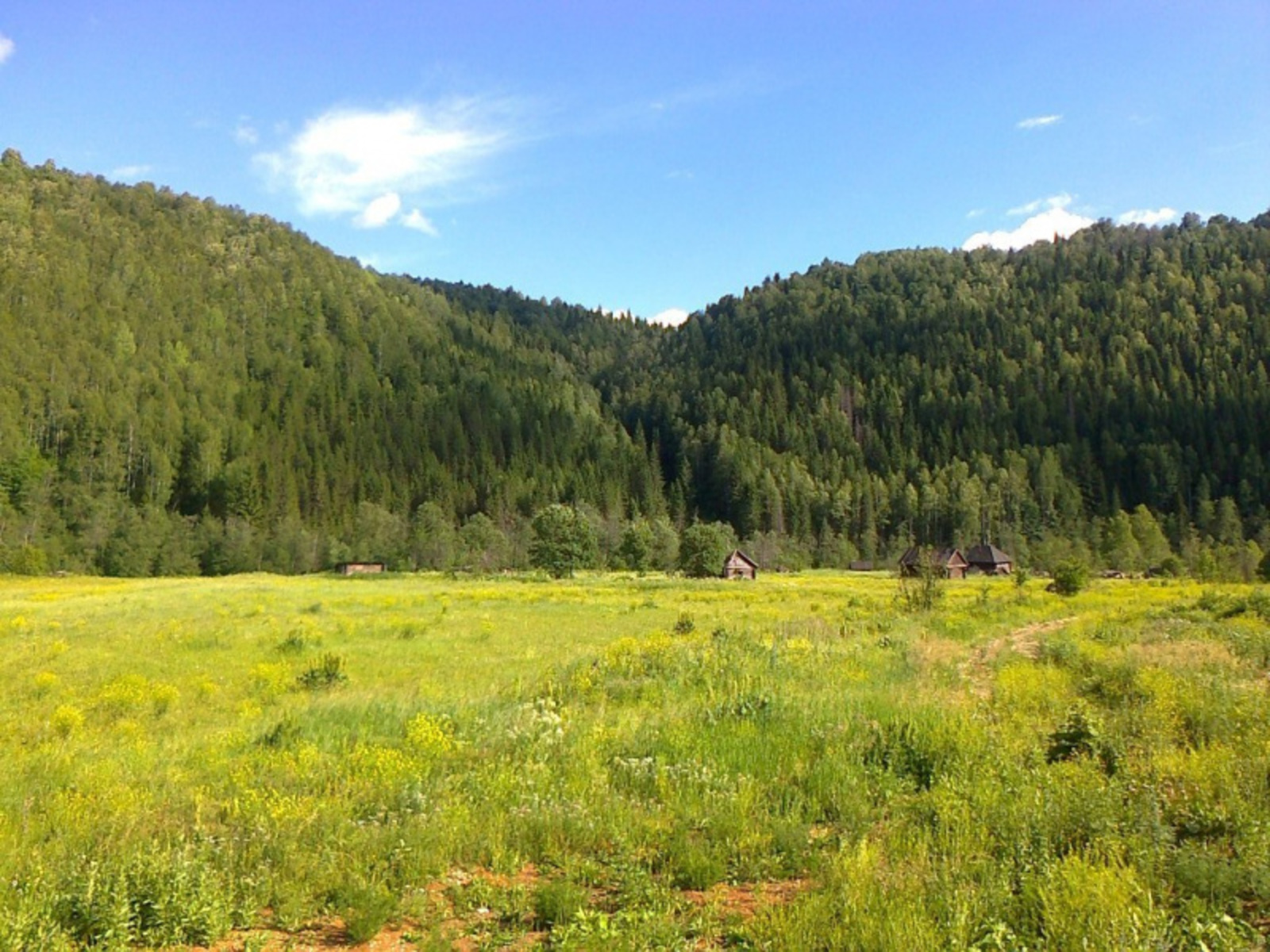 Фото автора.