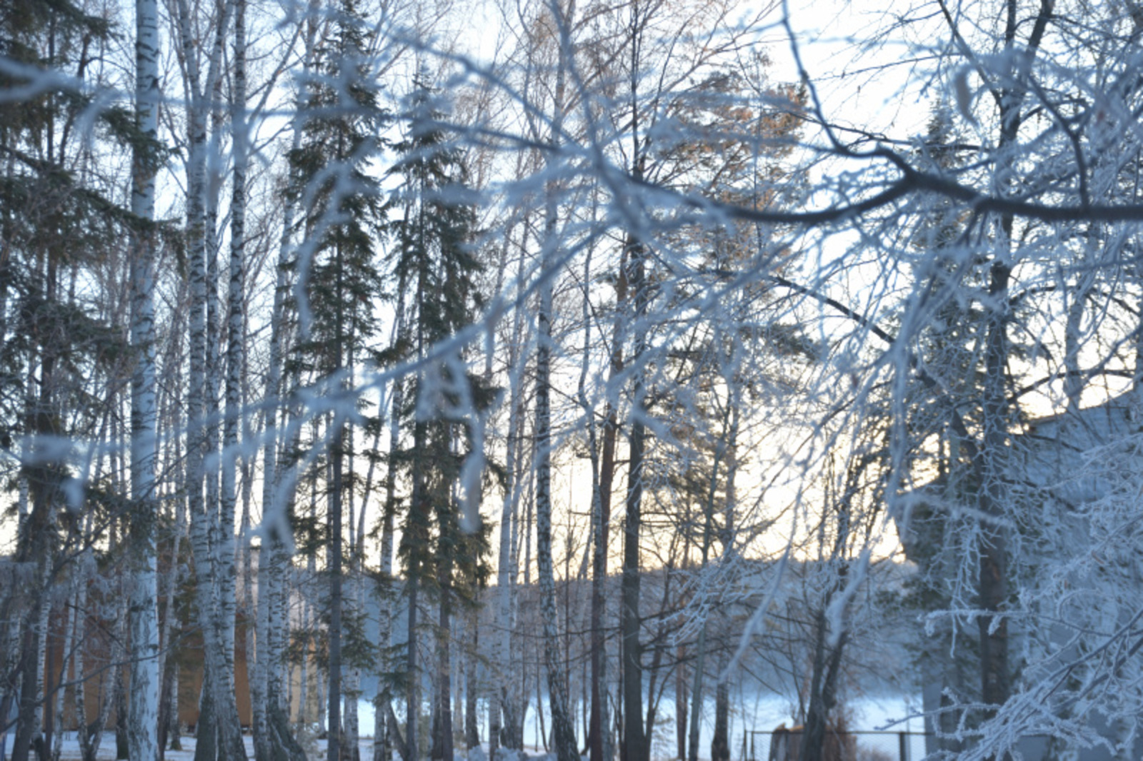 Фото Елены Колоколовой.