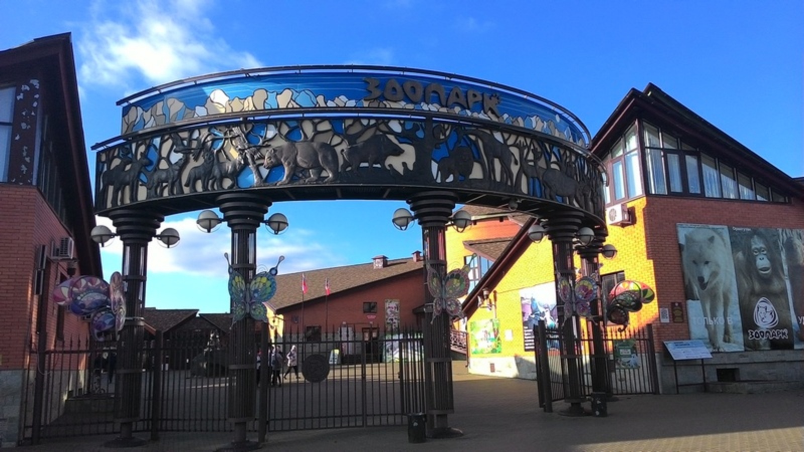 Фото автора.