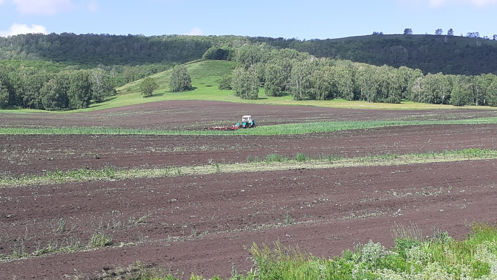Владимира Шакиева.