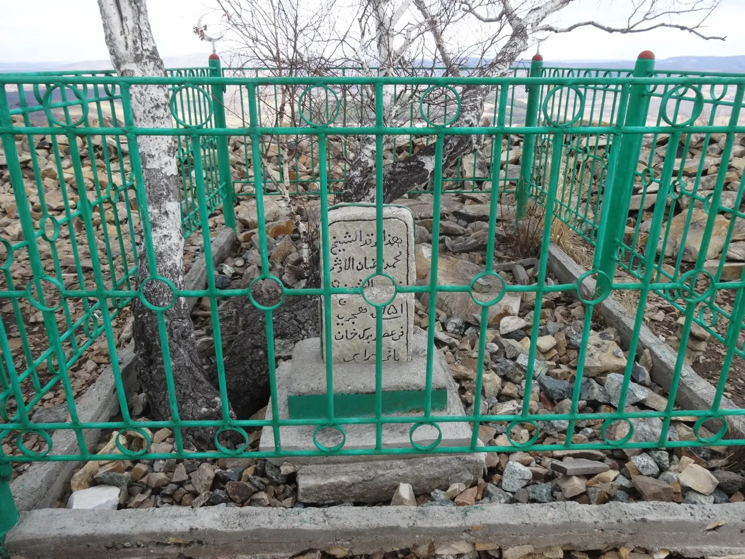 Елены Колоколовой.  «Общественная электронная газета».