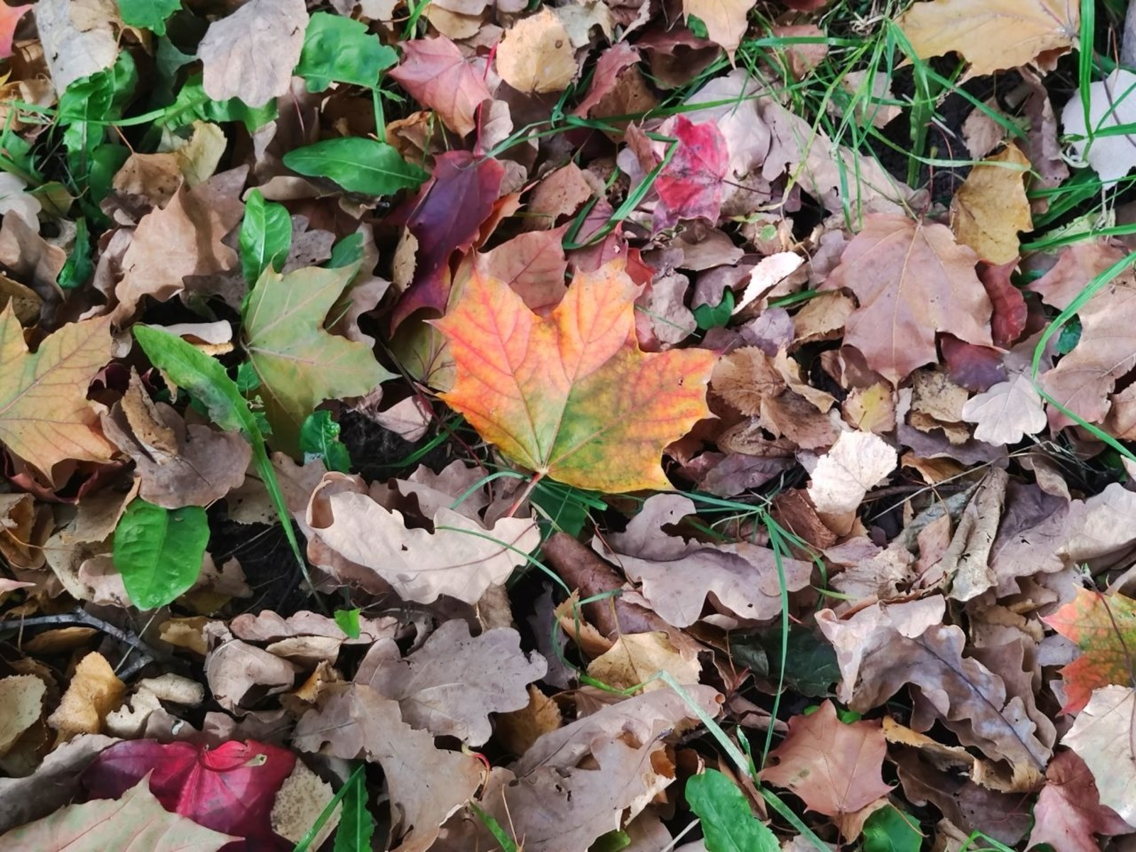 Дарьи Святохиной.
