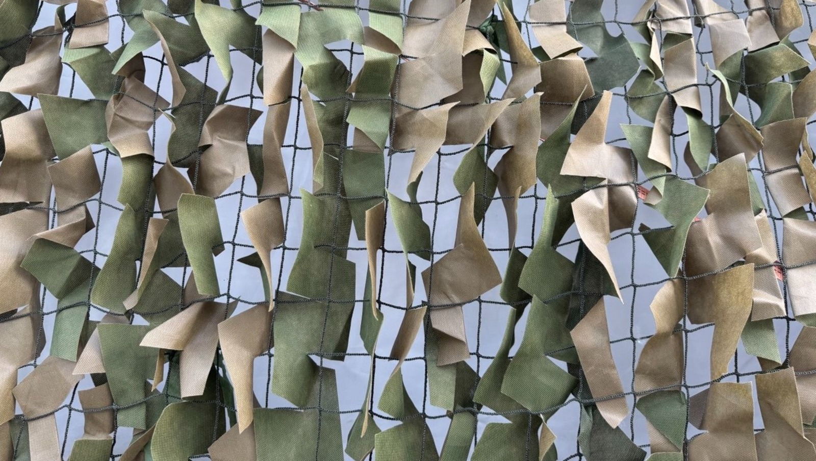 Елены Колоколовой.