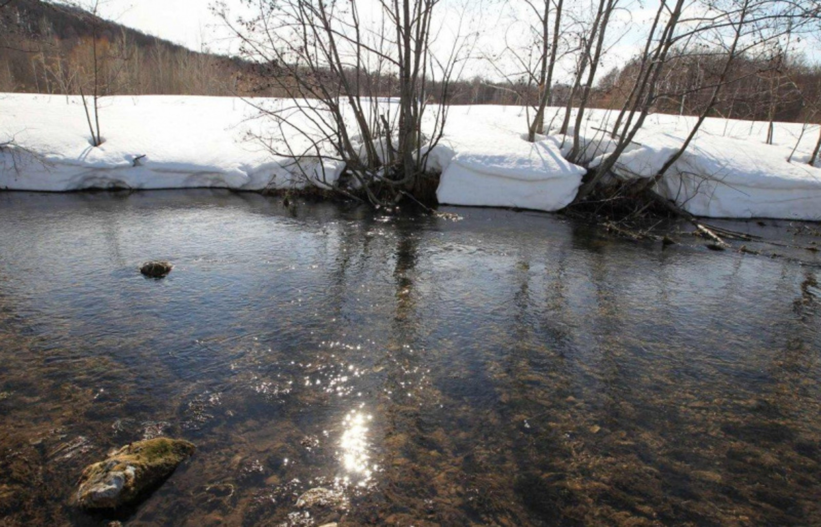 Фото Олега Яровикова.