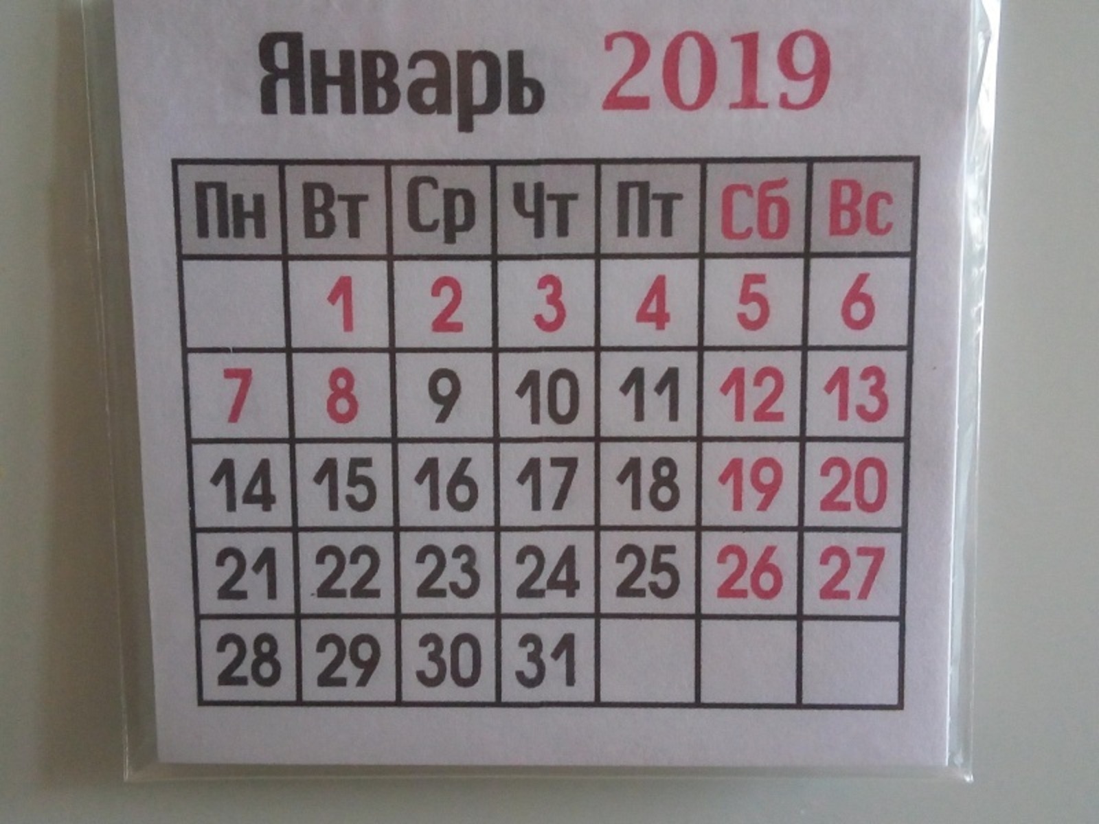 Фото автора.