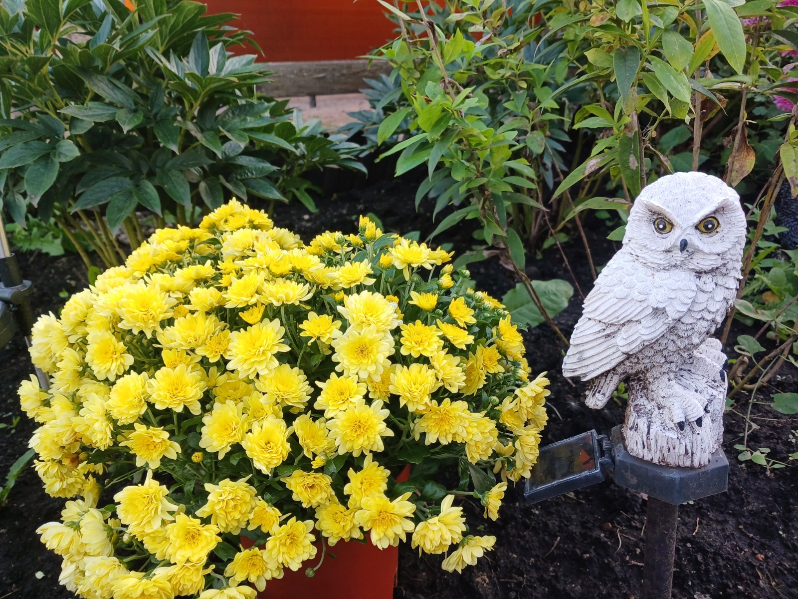 Васили Саитовой. «Общественная электронная газета».