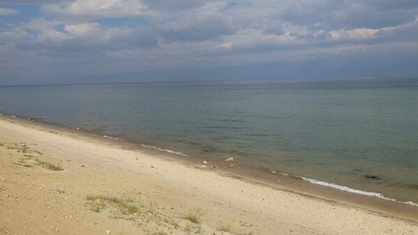 Елены Колоколовой. "Общественная электронная газета".