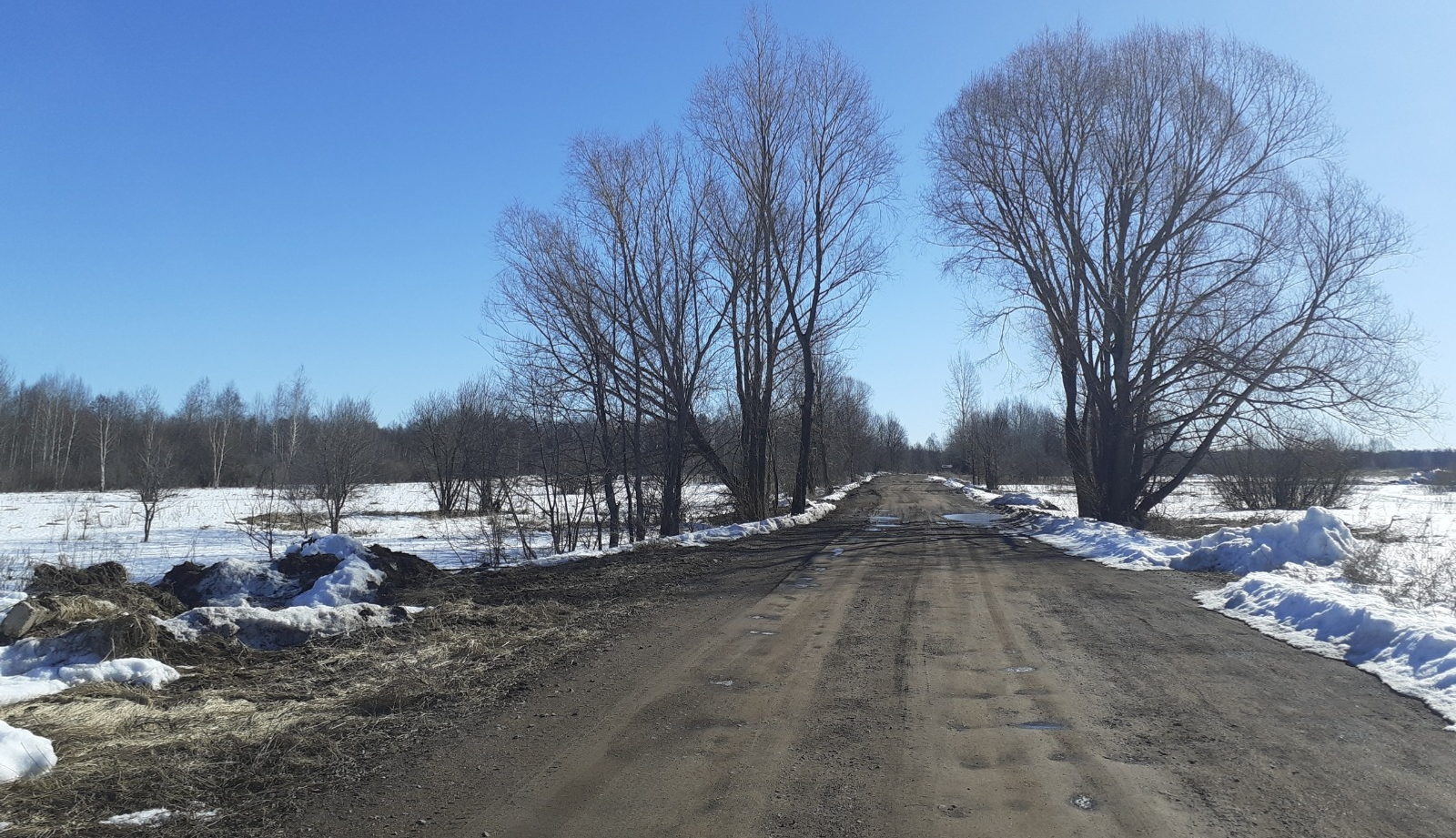 Владимира Шакиева. «Общественная электронная газета».