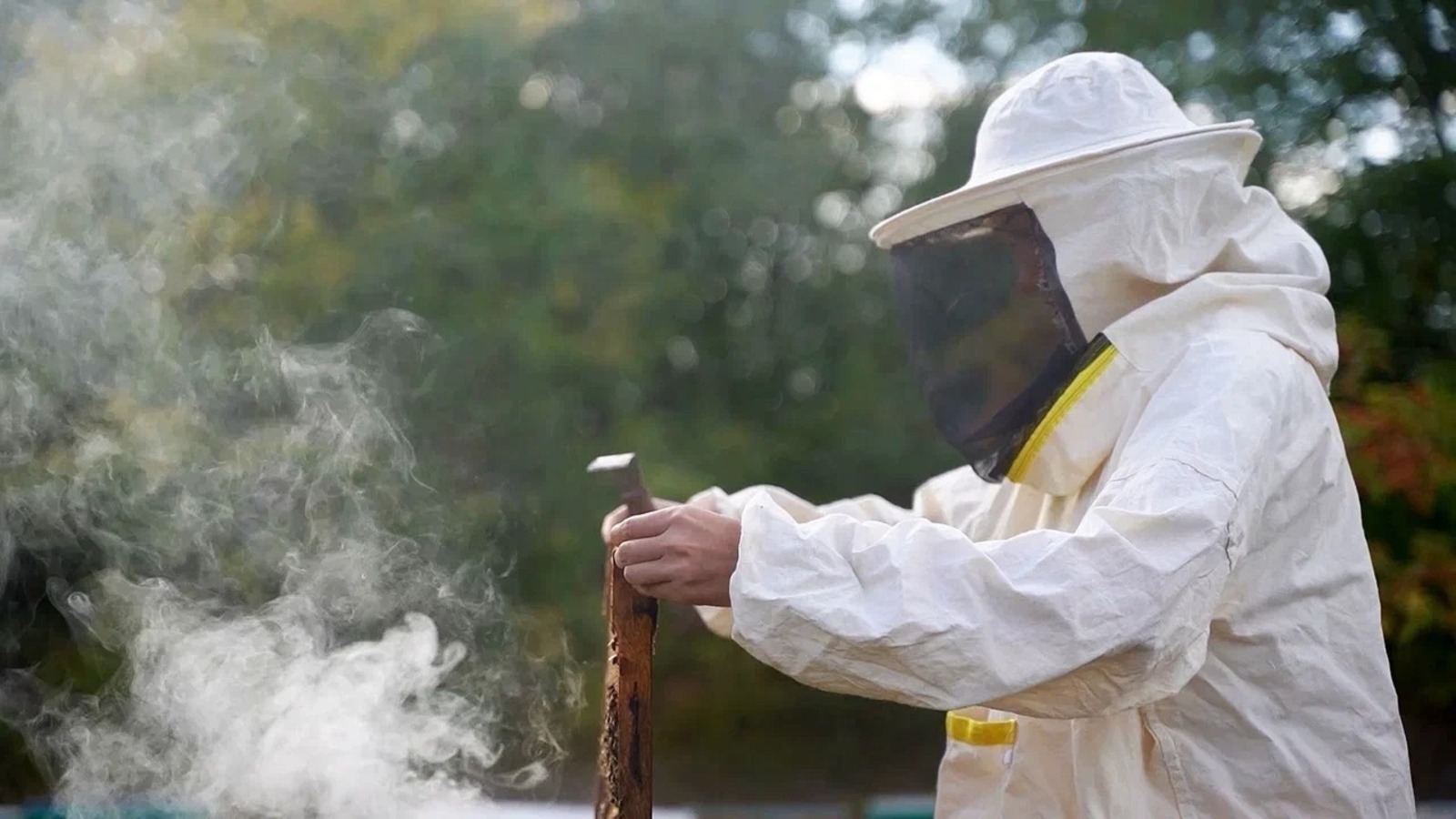 Vk, личная страница Радия Хабирова.