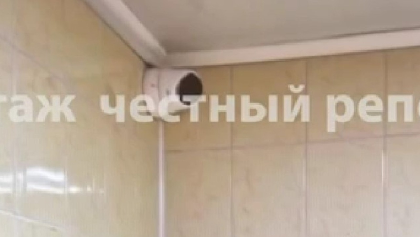 телеграм-канал «Честный репортаж», скриншот видео.  телеграм-канал «Честный репортаж», скриншот видео.