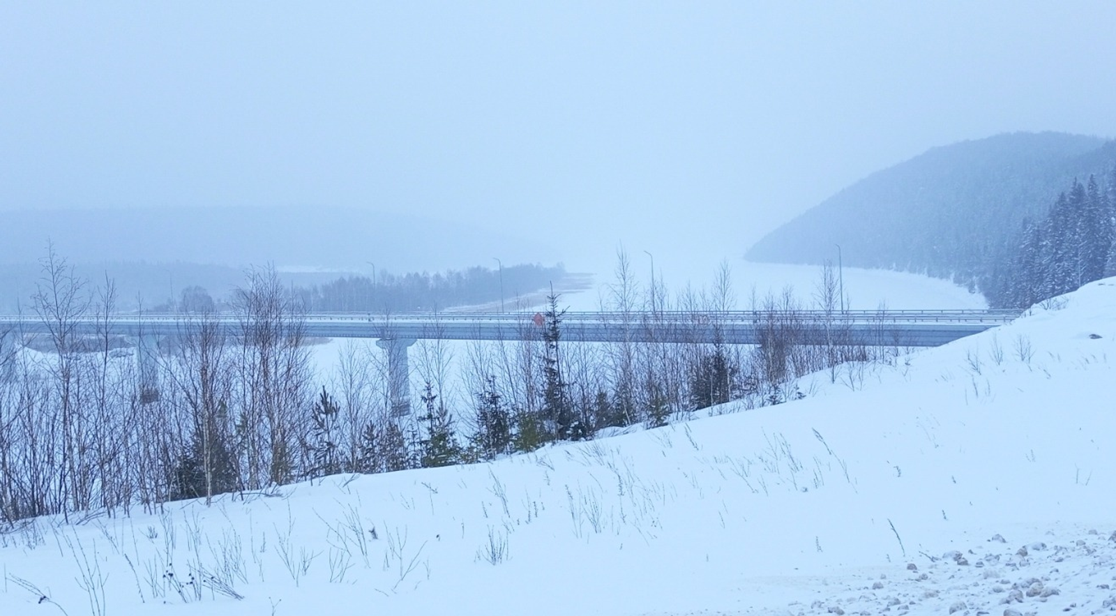 Евгении Сюткиной. «Общественная электронная газета».