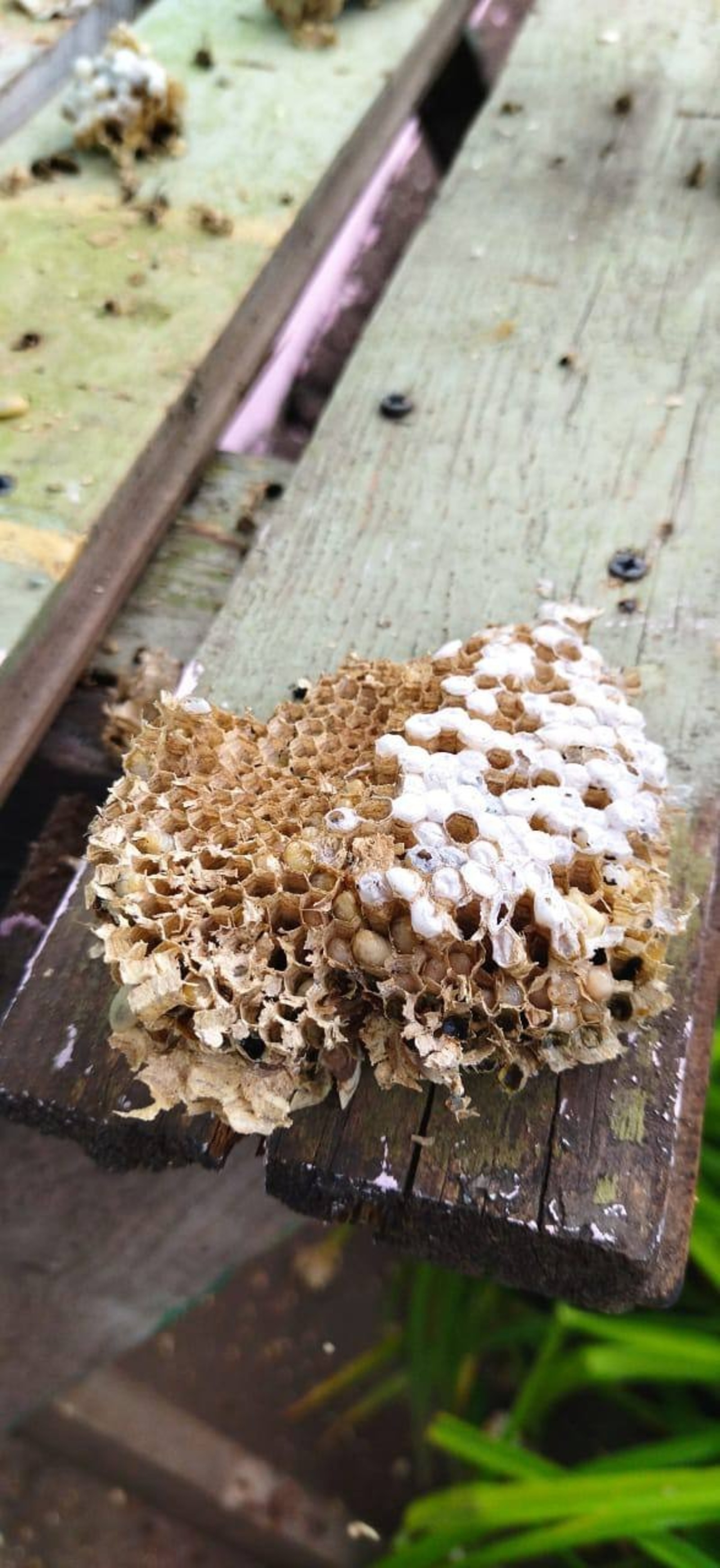 Госкомитет РБ по ЧС.