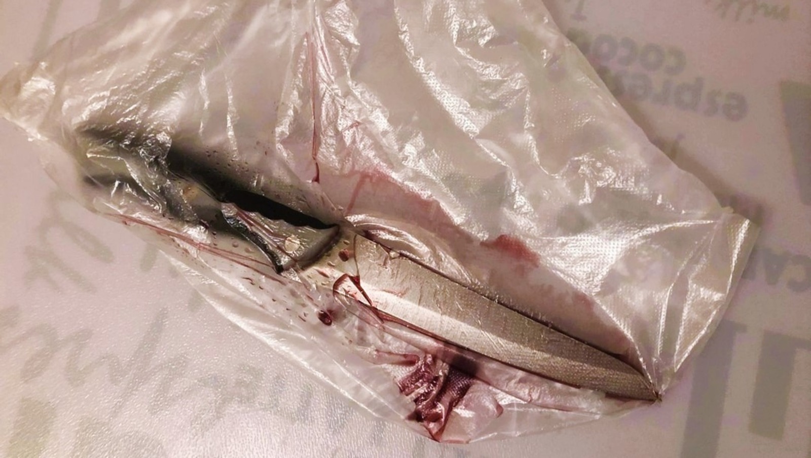 Елены Колоколовой.