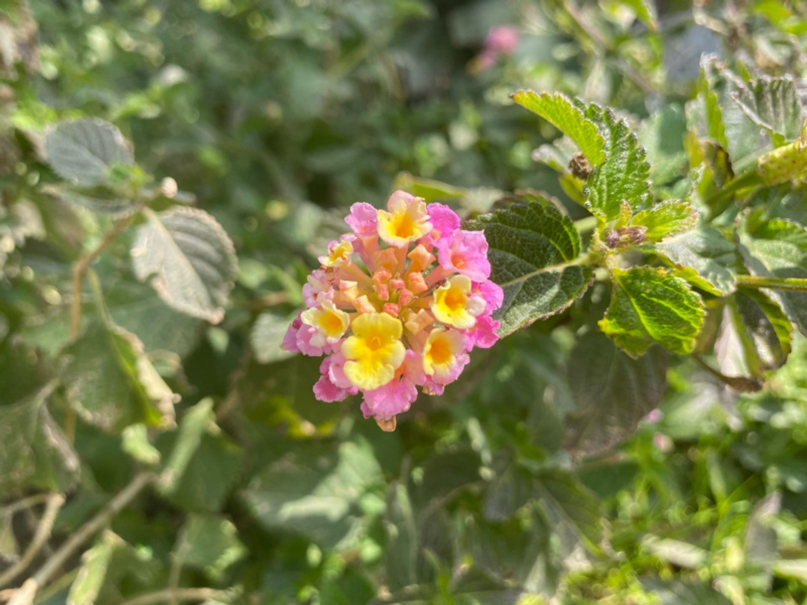 Фото Елены Колоколовой.