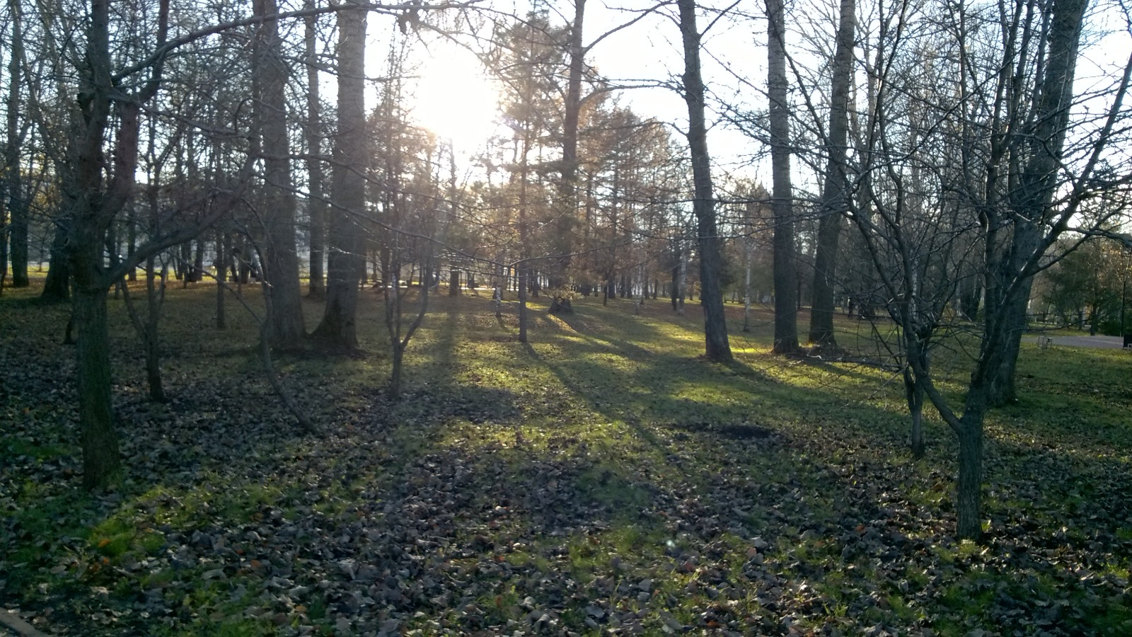 Дарьи Святохиной. «Общественная электронная газета».