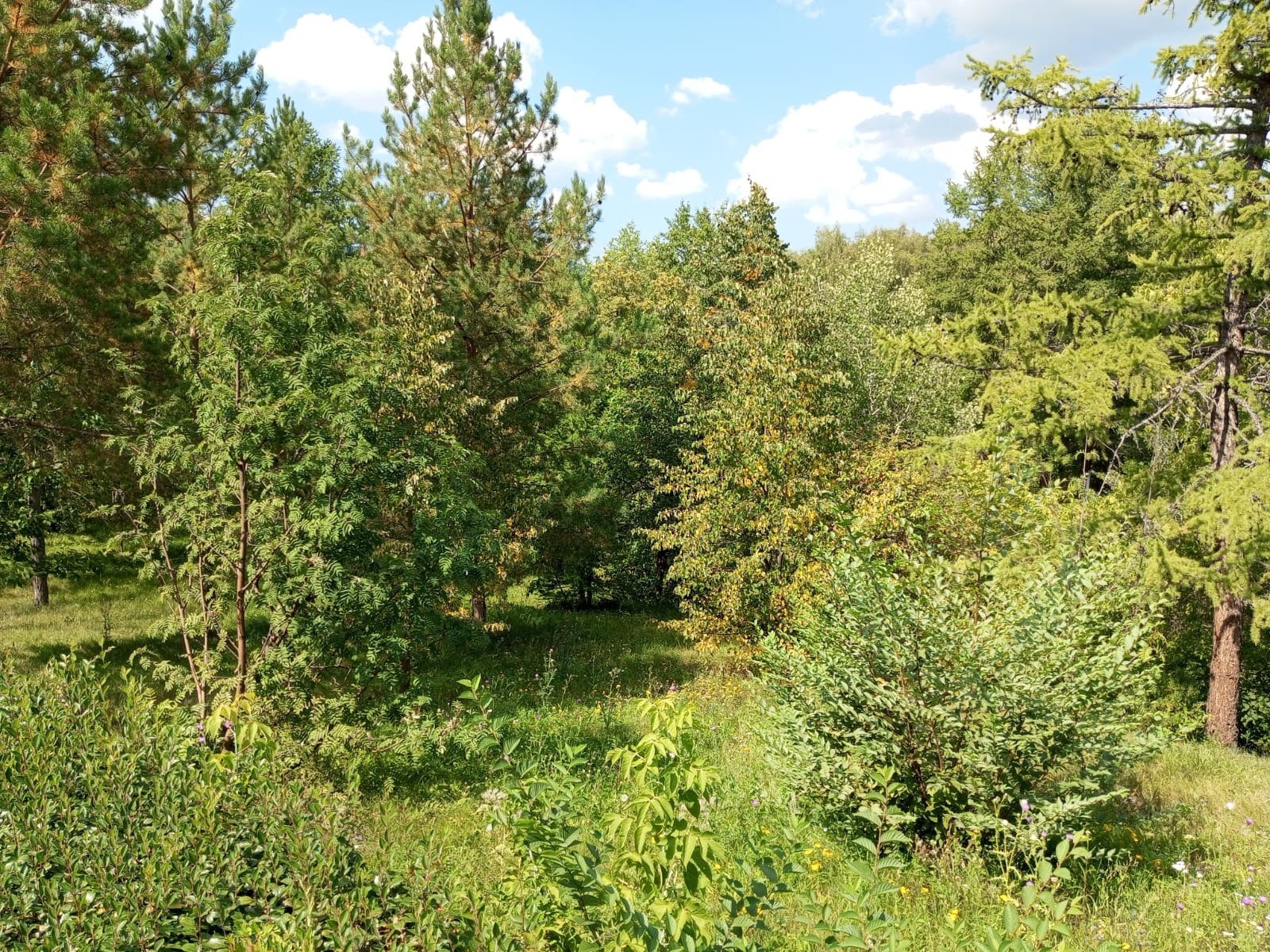 Евгении Сюткиной.