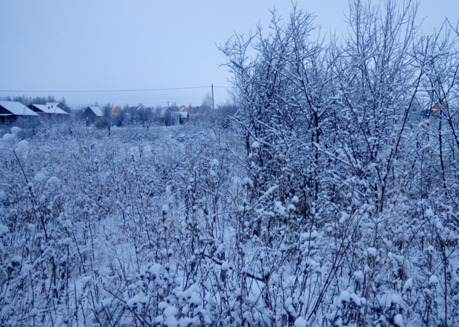 Фото Васили Саитовой.