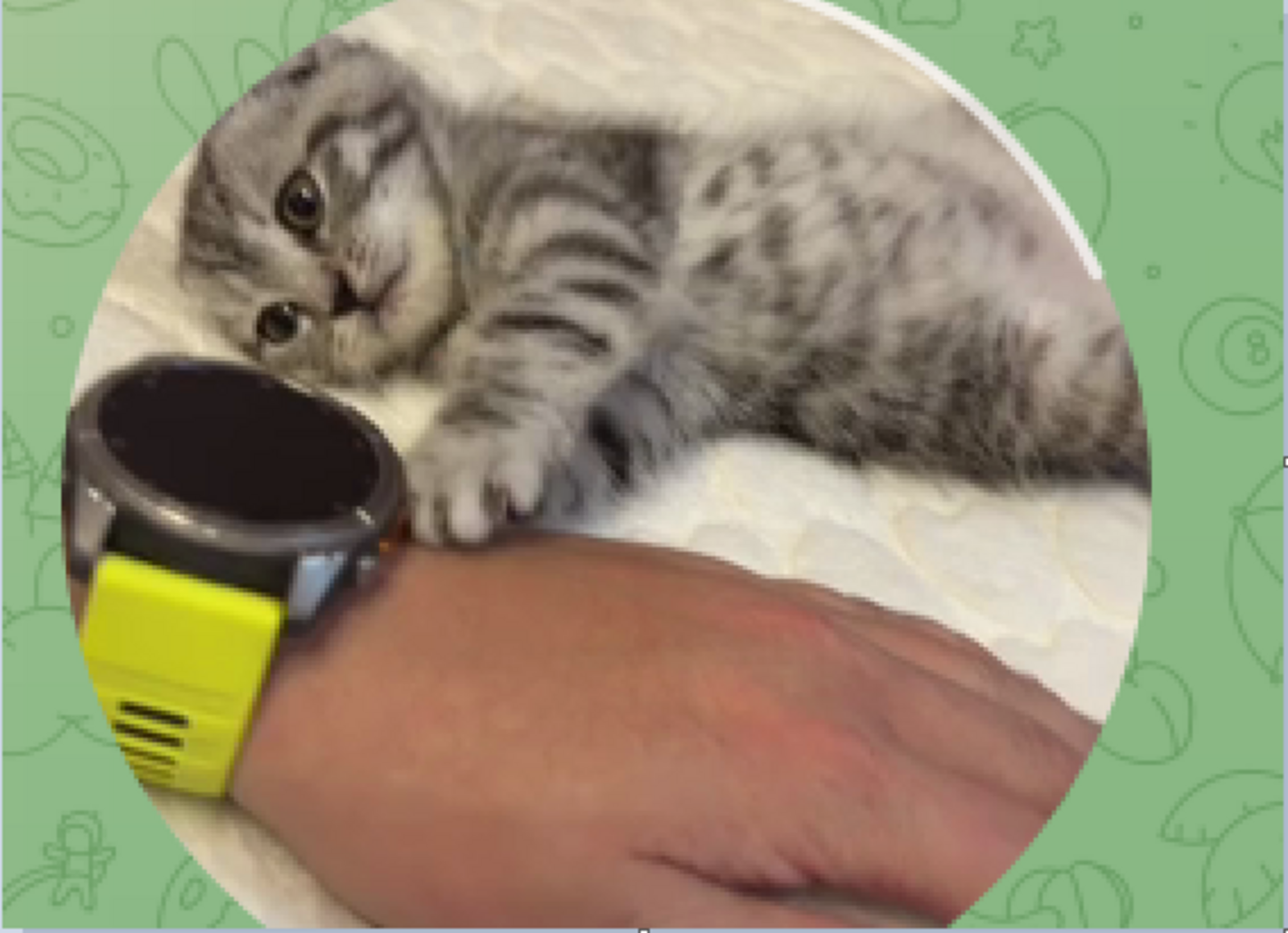 официальная страница Элвина Грея. Telegram.