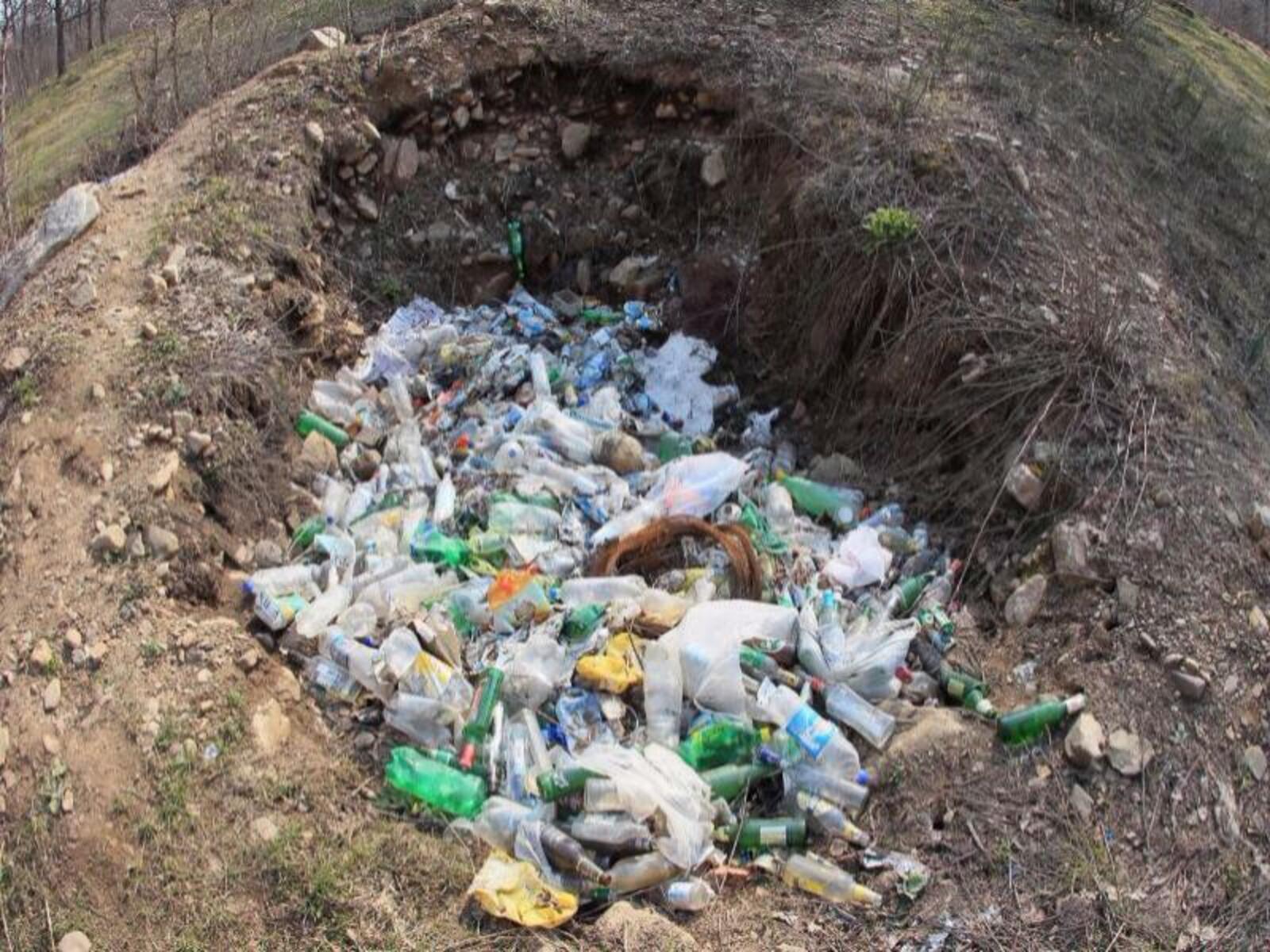 Фото Олега Яровикова.