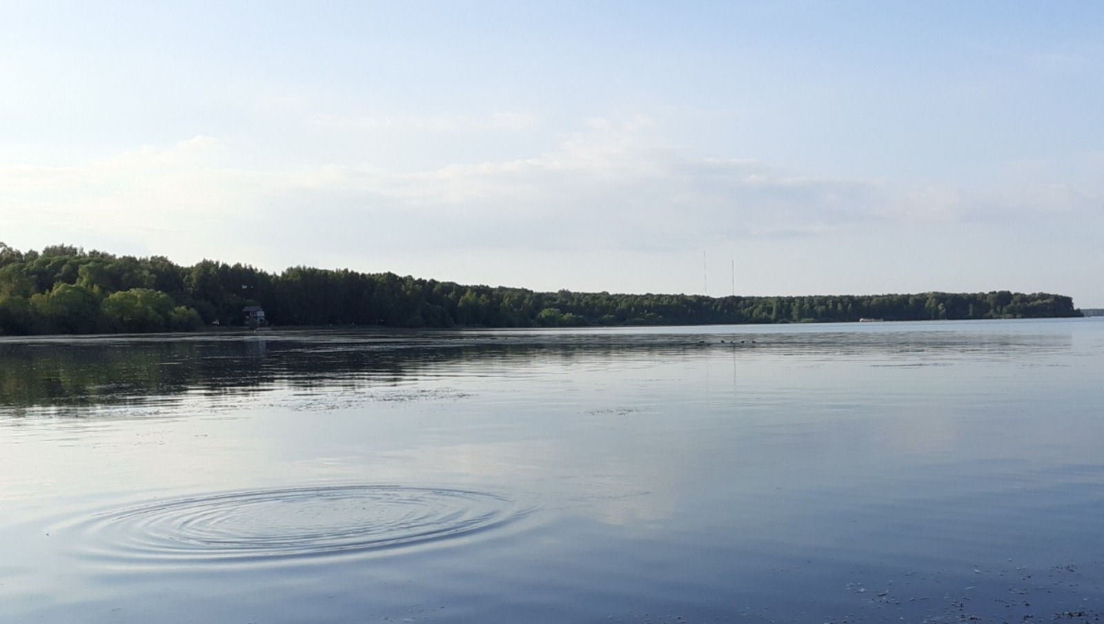 Владимира Шакиева.