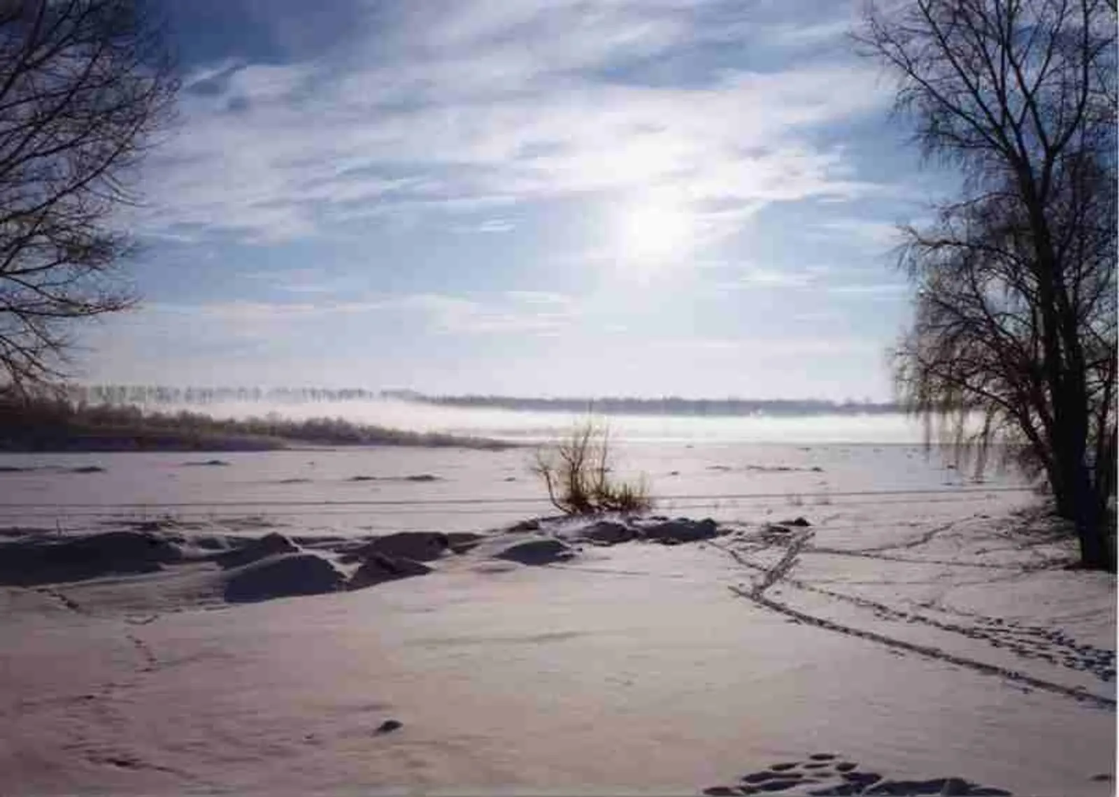 Фото Андрея Старостина.