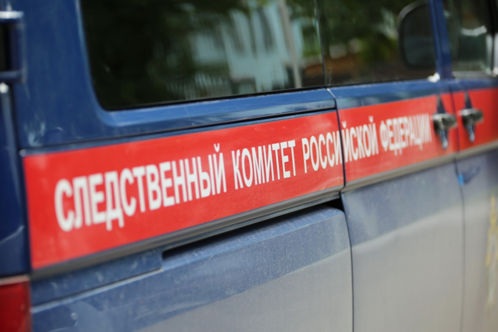 Фото Андрея Старостина.