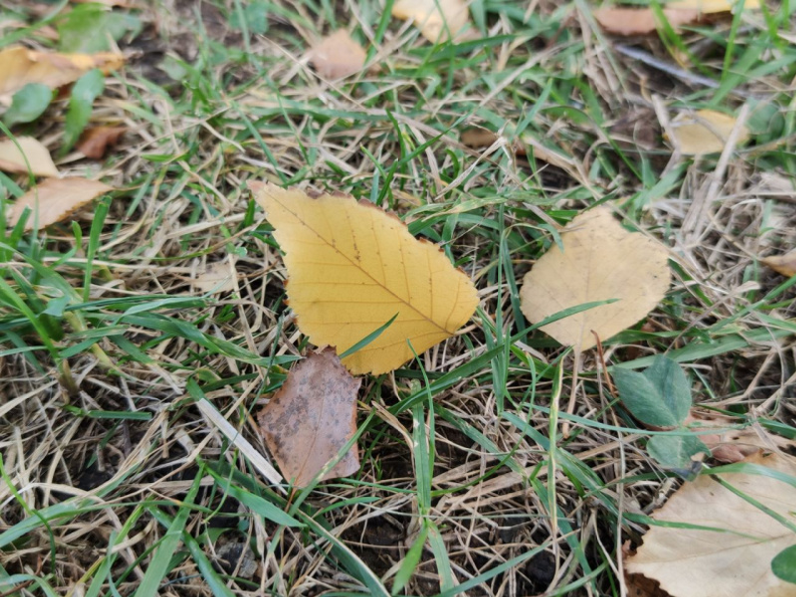 Фото автора.