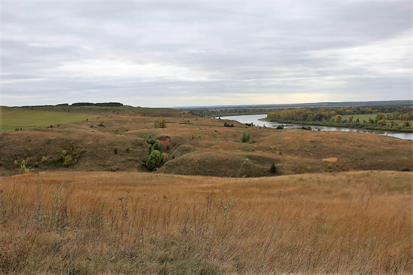 Фото автора.