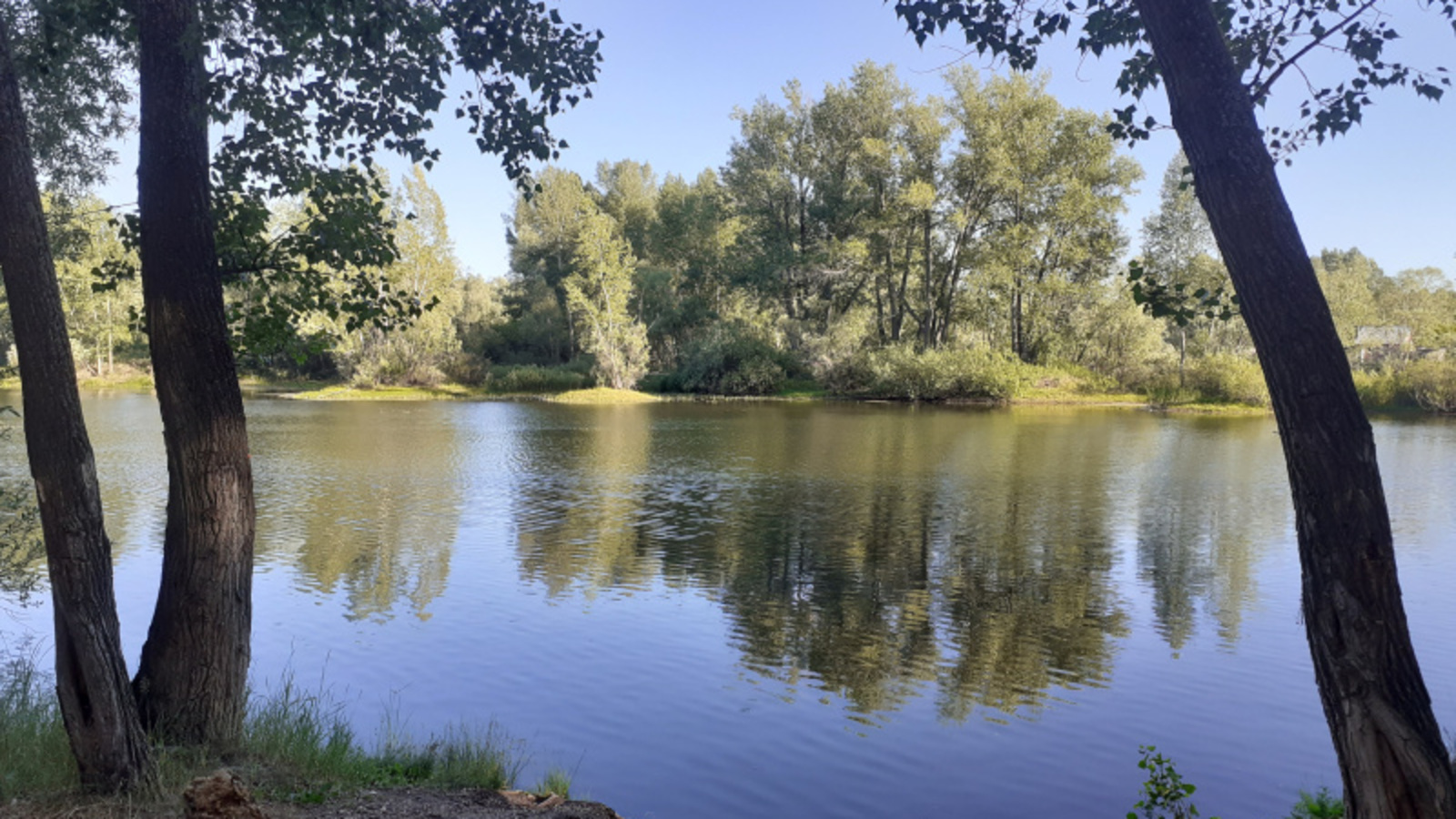 Фото автора.