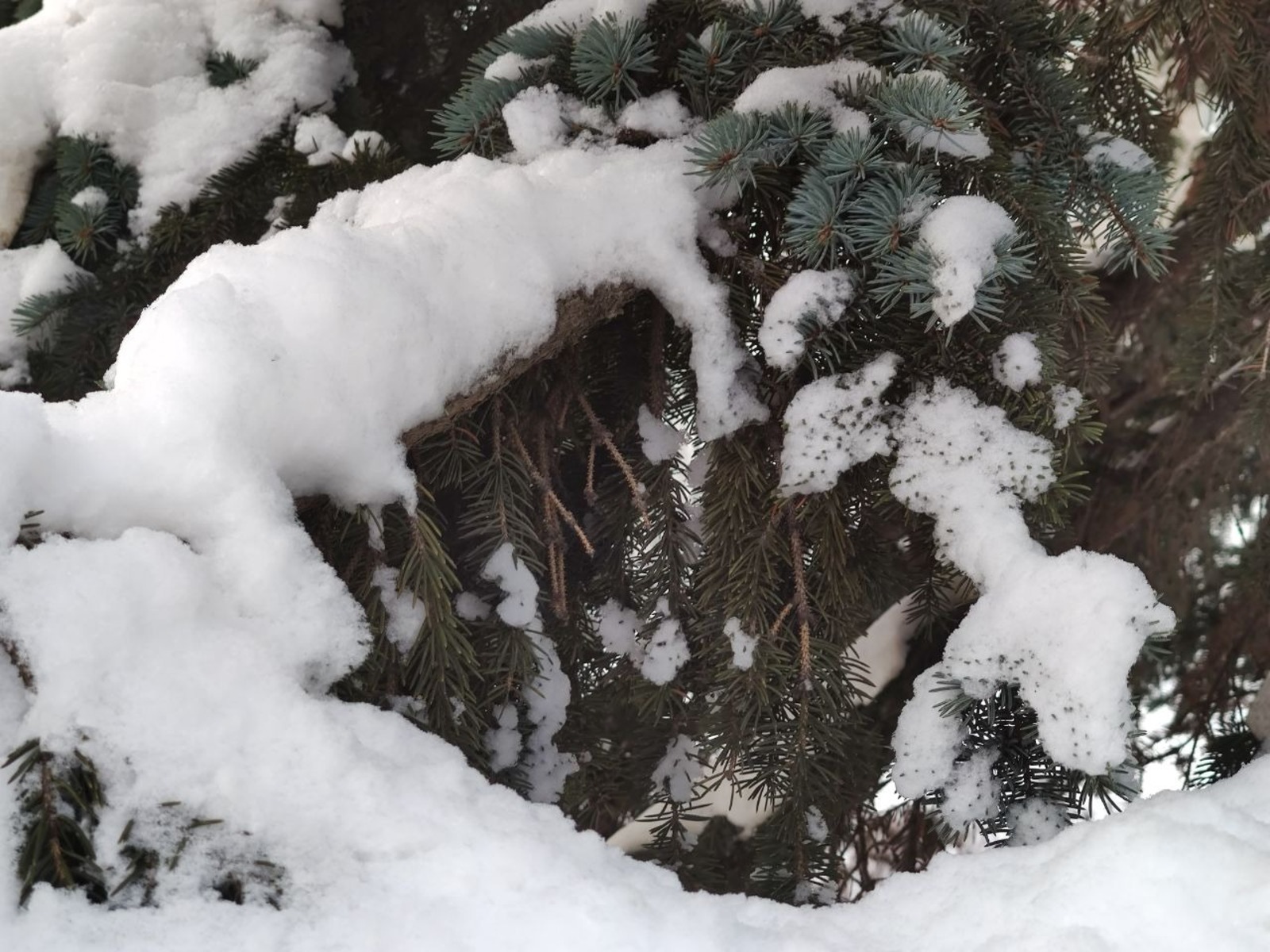 Дарьи Святохиной. «Общественная электронная газета».