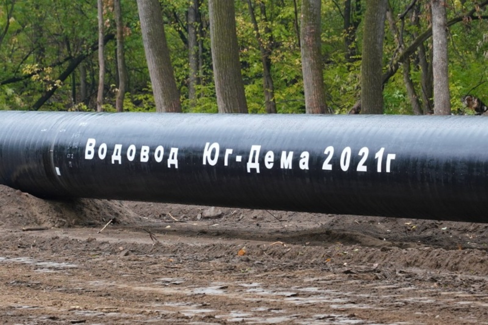 сайт glavarb.ru.