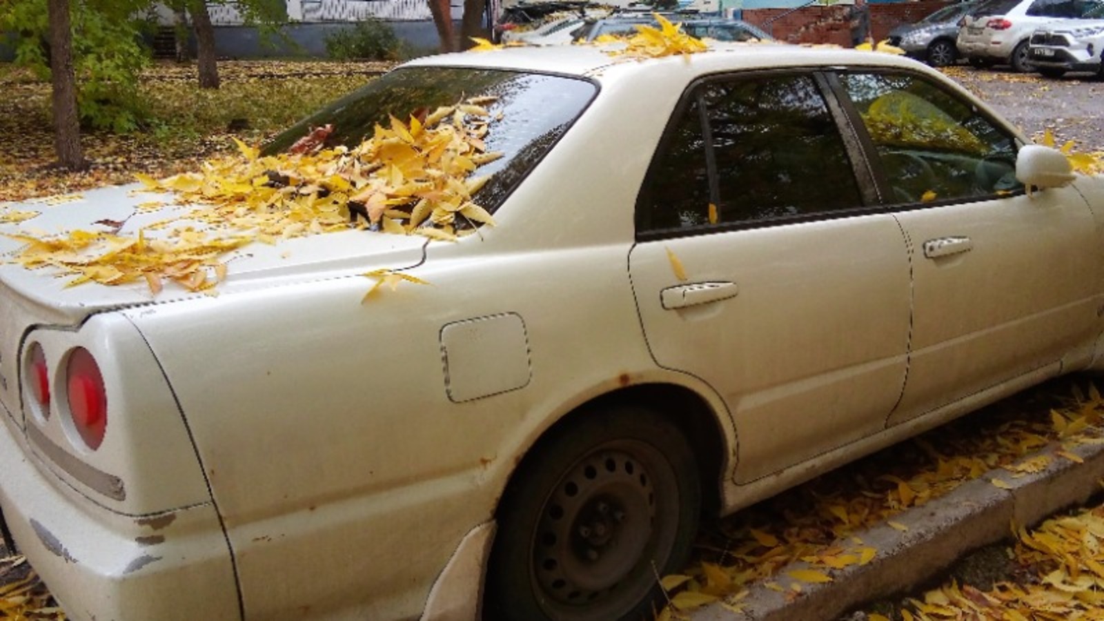 Евгении Сюткиной.