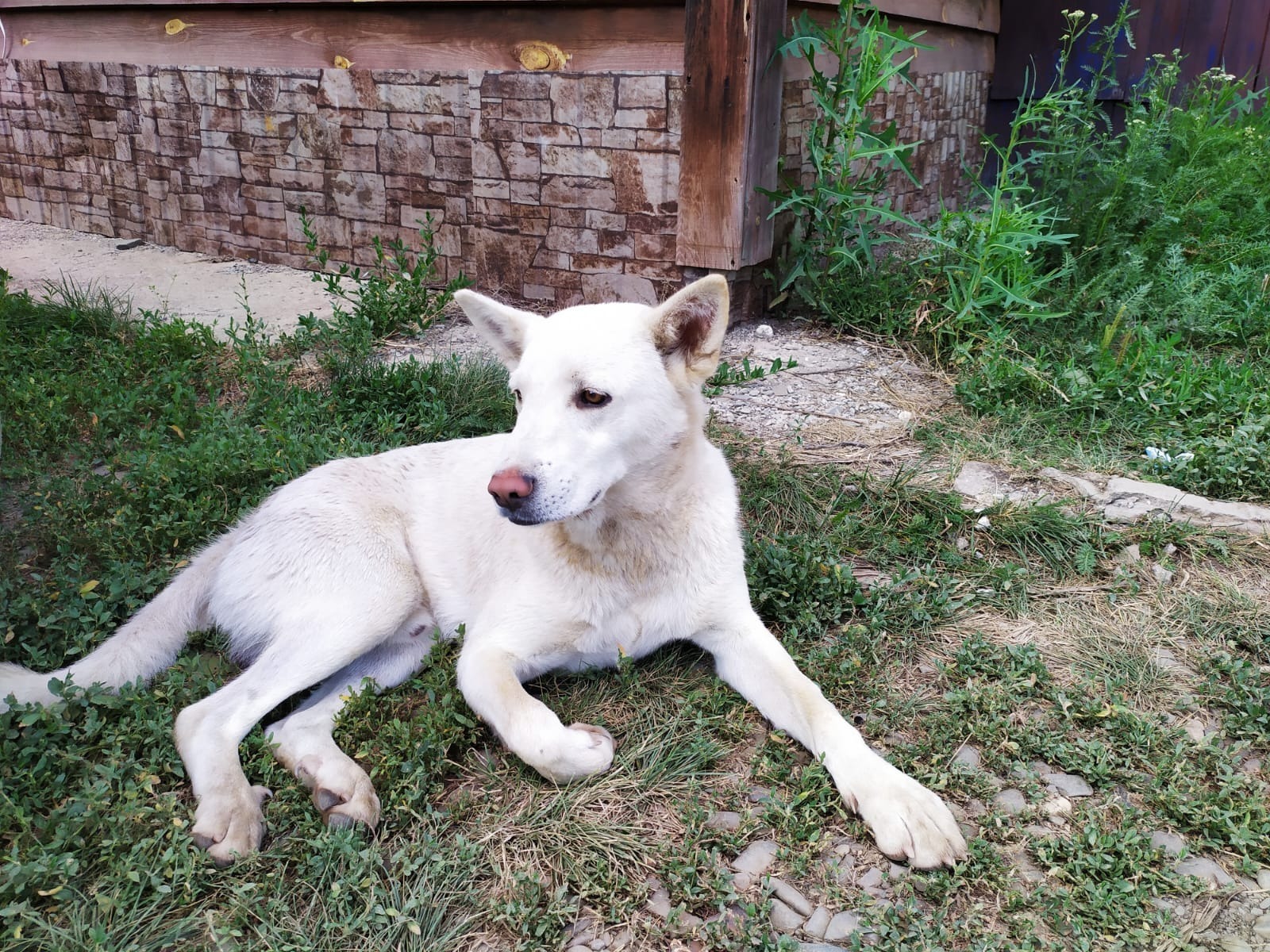 Васили Саитовой.