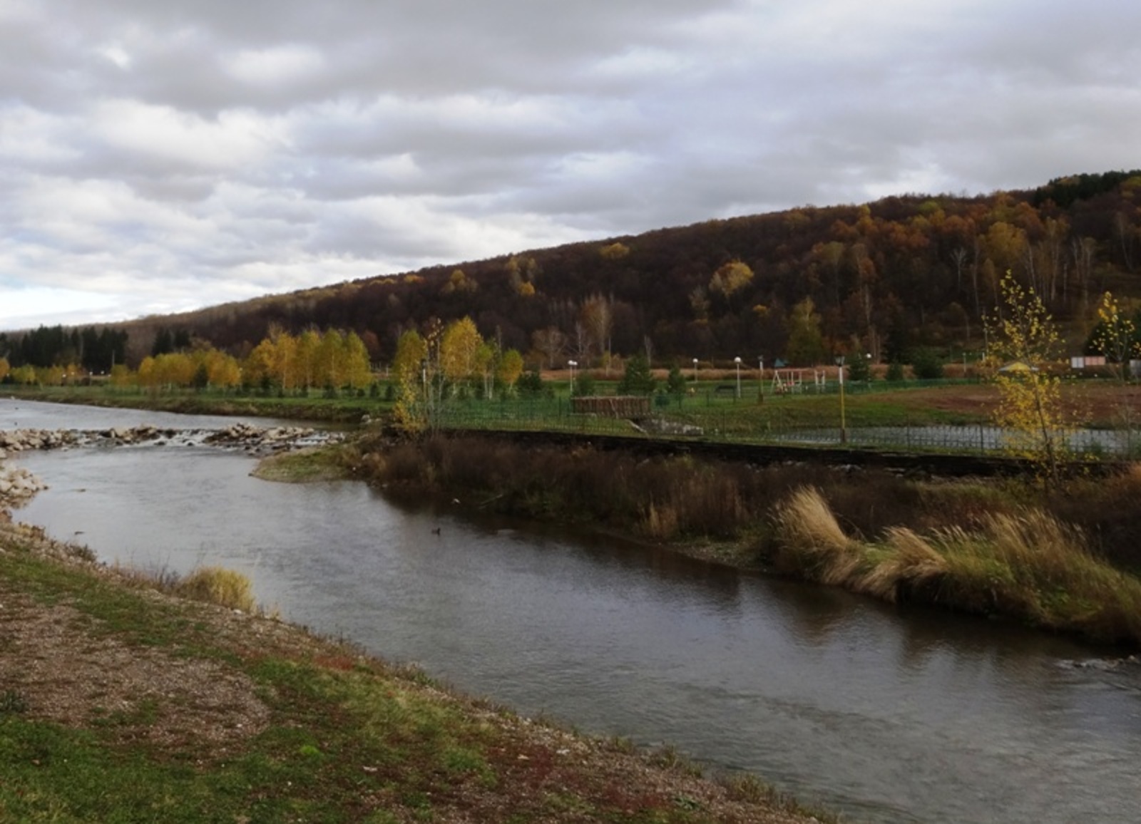 Фото Елены Колоколовой.