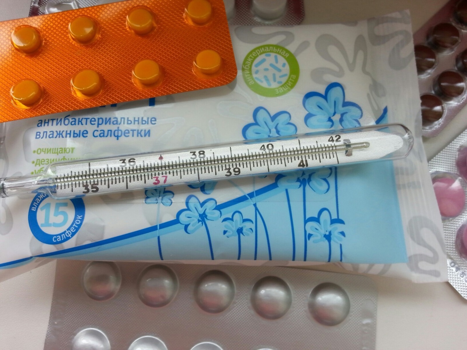 Дарьи Святохиной.