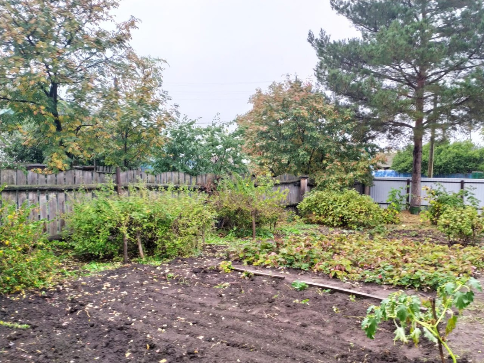 Васили Саитовой.