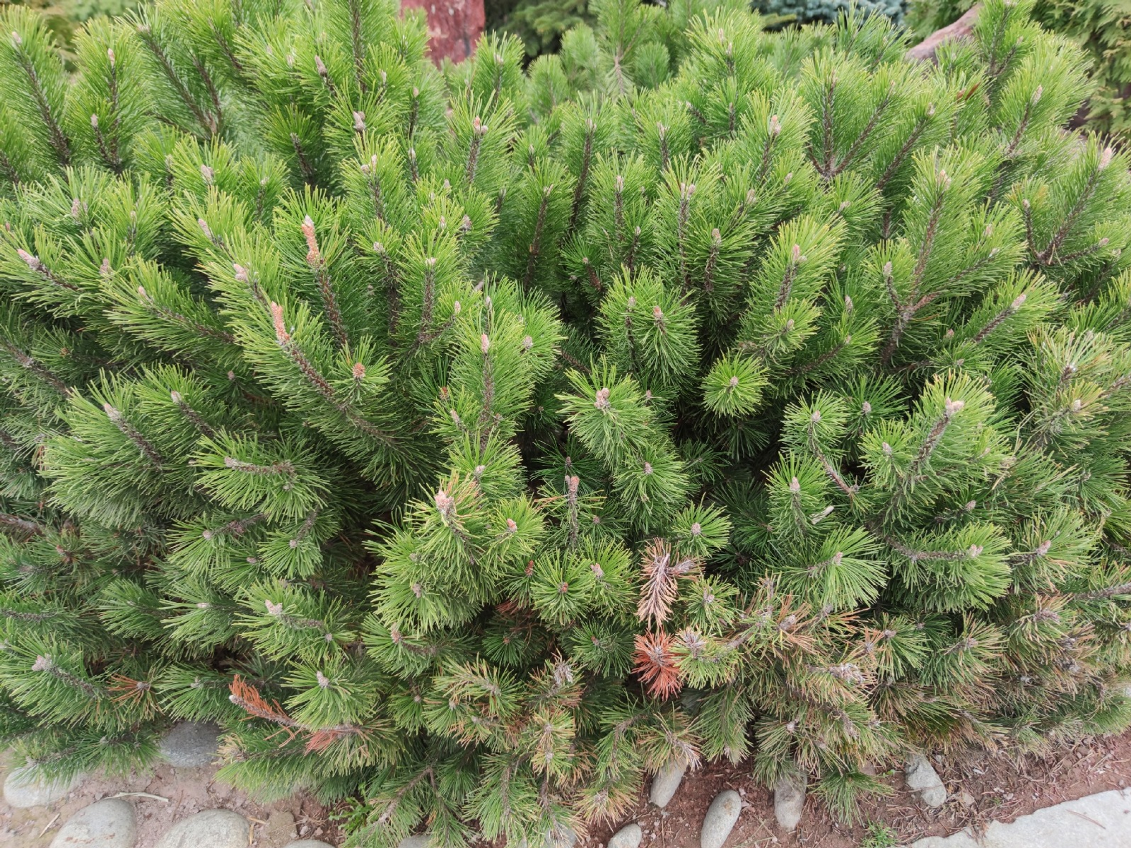 Дарьи Святохиной. «Общественная электронная газета».