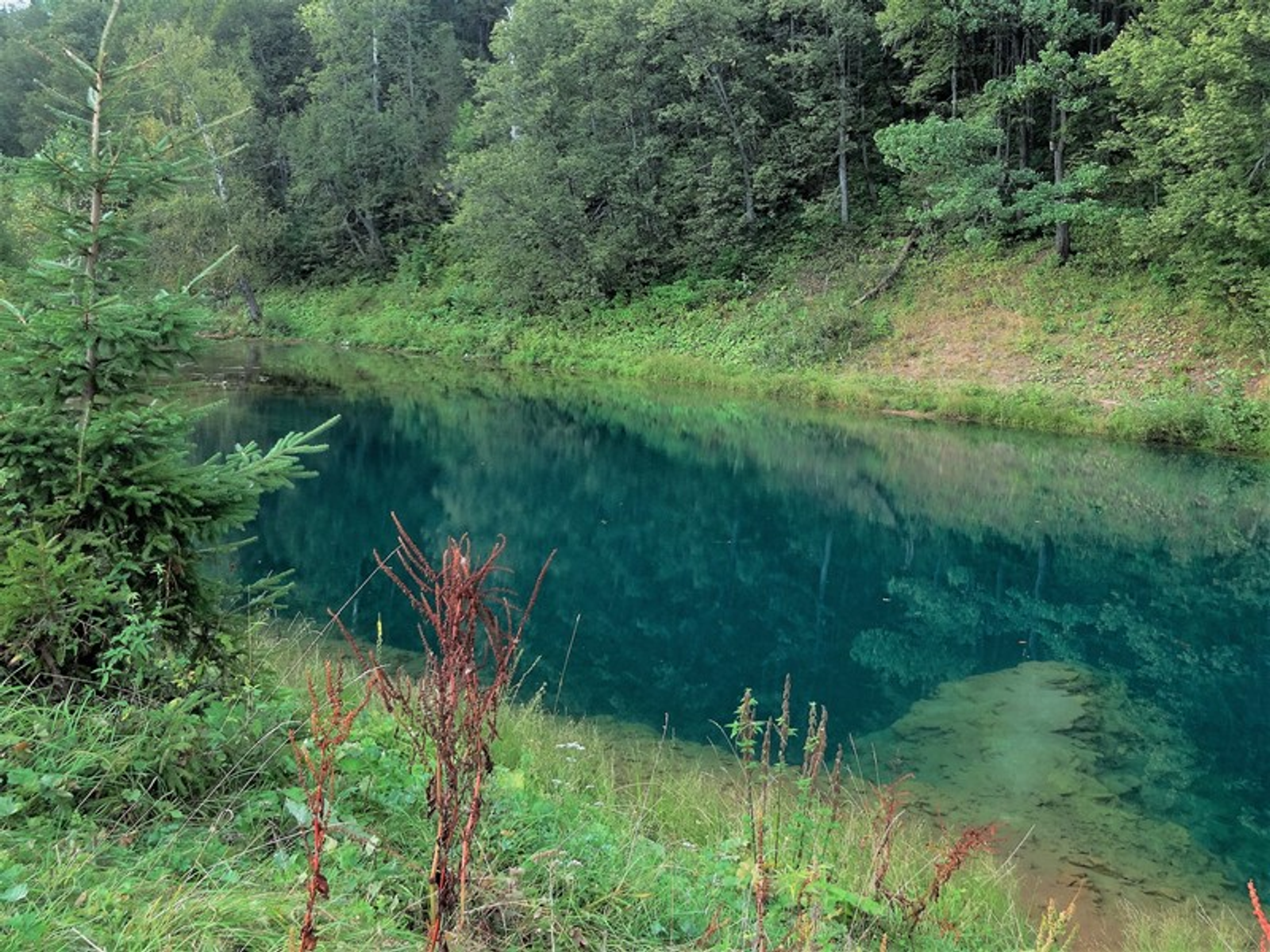 Фото автора.