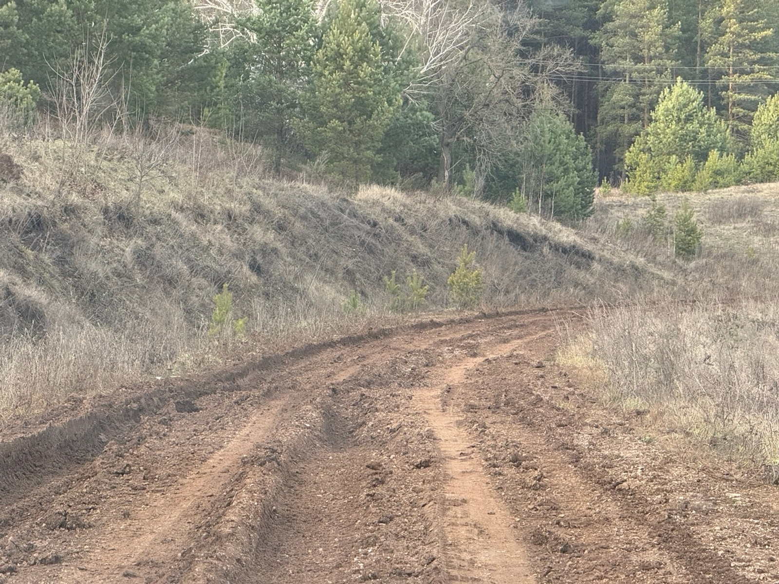 Елены Колоколовой. «Общественная электронная газета».