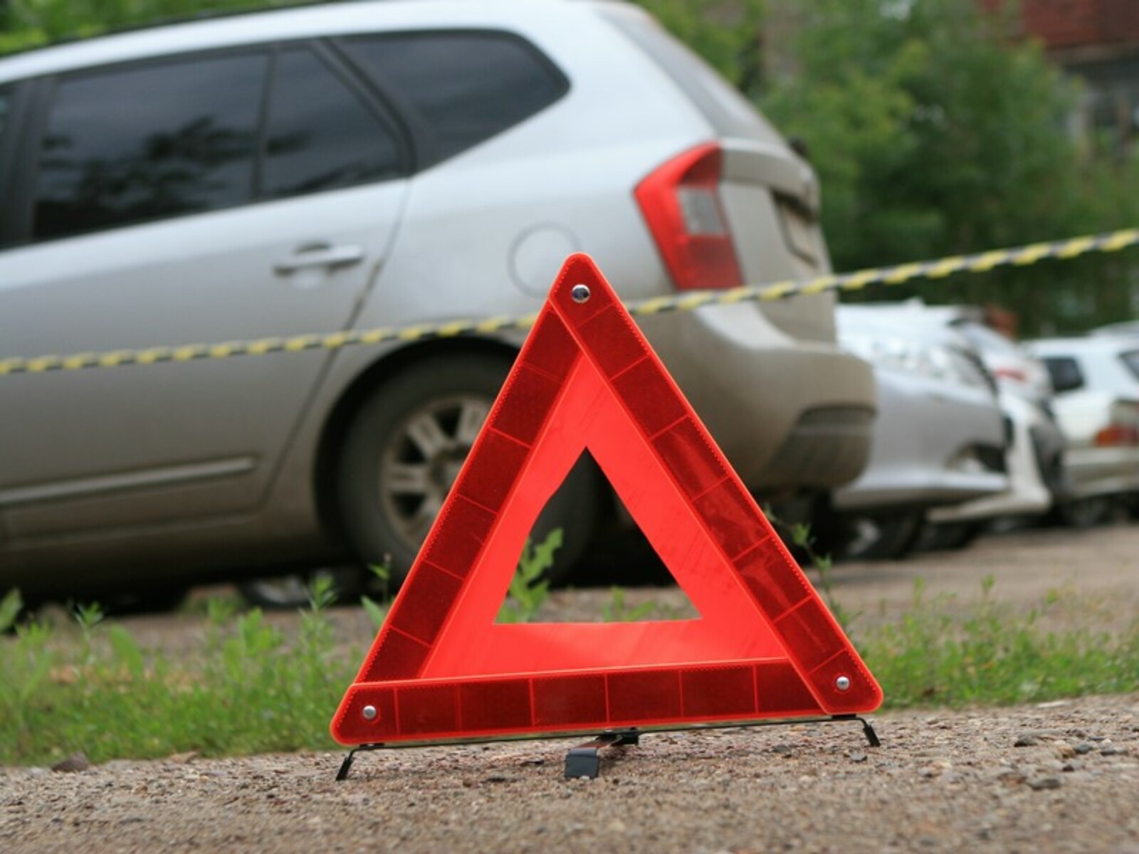 Фото Андрея Старостина.