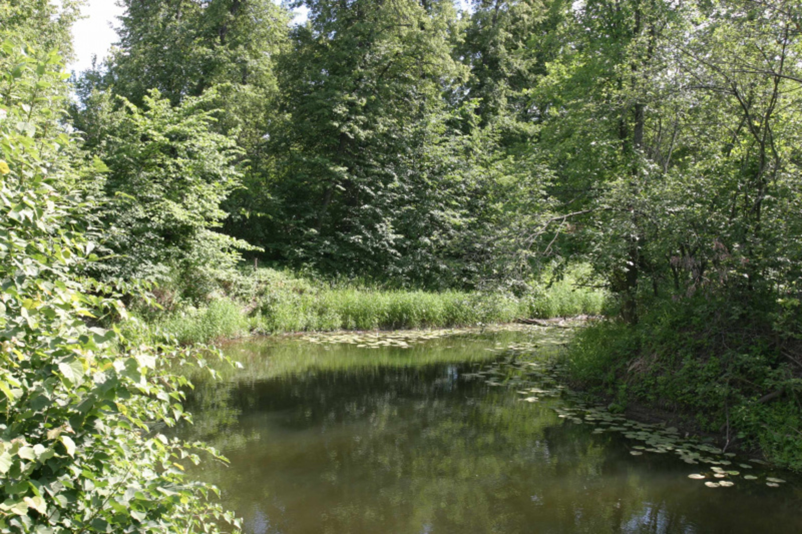 Фото Олега Яровикова.