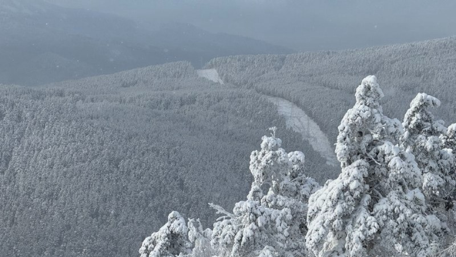 Елены Колоколовой. «Общественная электронная газета».