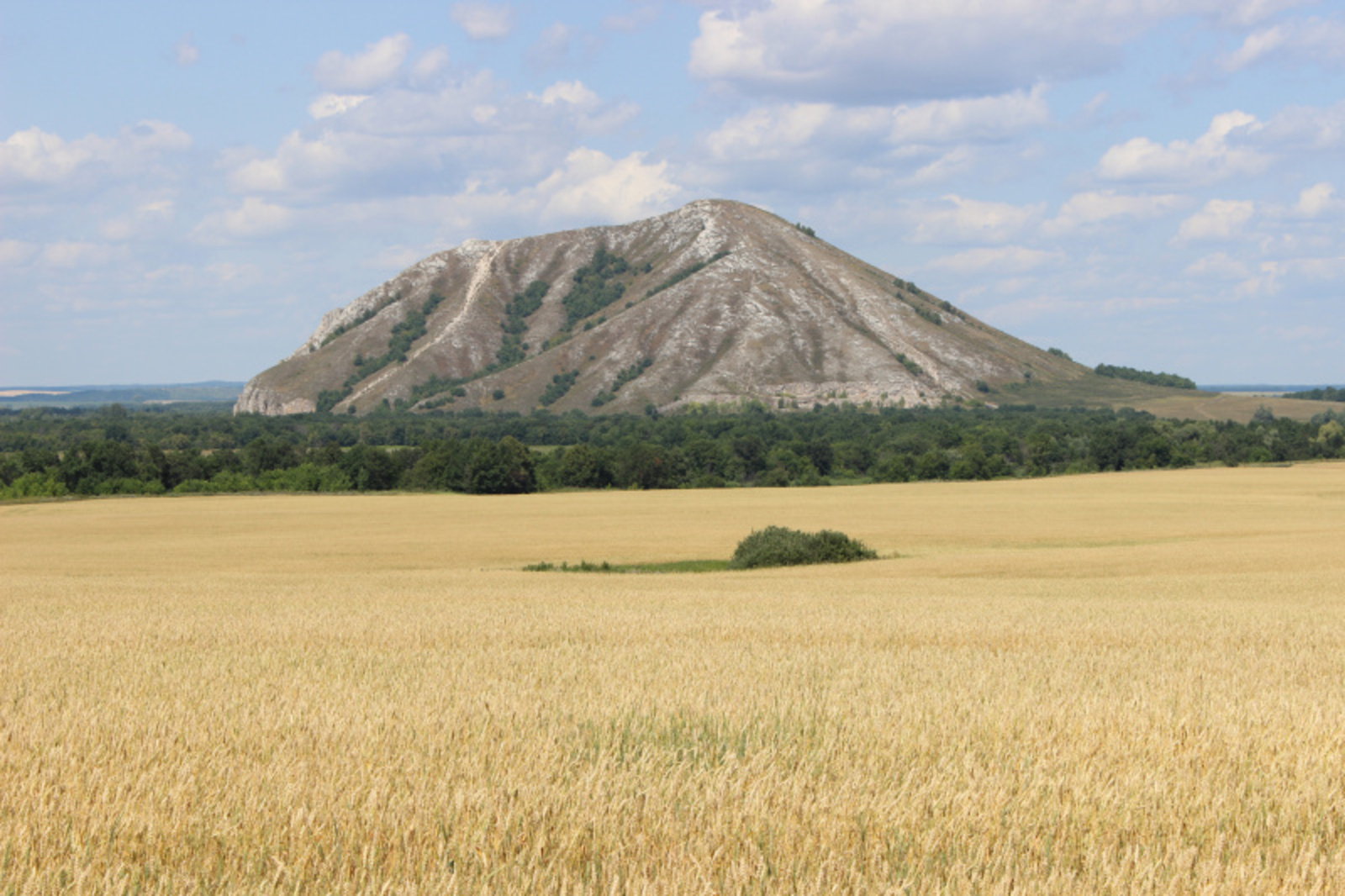 Фото автора.